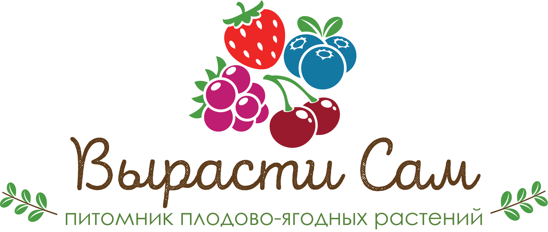 Интернет Магазины Плодовых Питомников